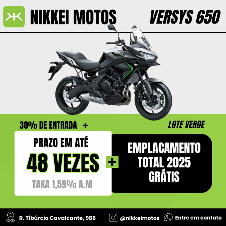 Versys 650 (2)